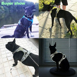 Dog Harness